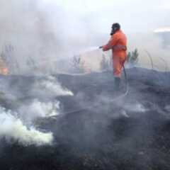 LOUVEIRA: Prefeitura alerta para as graves consequências das queimadas