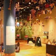 REGIÃO: Últimas semanas para conferir a exposição ‘Perambular’ no Sesc Jundiaí