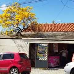 LOUVEIRA: Coluna de João Batista – ‘Louveirando’