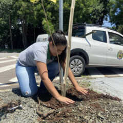 LOUVEIRA: Prefeitura de Louveira planta mais 20 árvores nativas no Jardim Niero