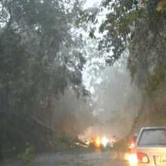 VINHEDO e LOUVEIRA: TEMPORAL CAUSA QUEDAS DE ÁRVORES, DESLIZAMENTOS E ALAGAMENTOS NA REGIÃO