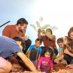 LOUVEIRA: Prefeito Paulo Finamore realiza plantio de árvores no 2º lago do Parque da cidade