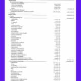 LOUVEIRA: APAE apresenta resultados de 2024 e convida a comunidade a seguir fazendo a diferença