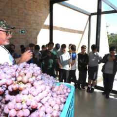 LOUVEIRA: Alunos da rede municipal participam da 6º edição do “Conhecendo Louveira”